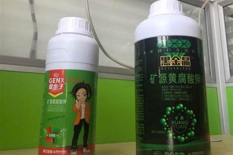 萝卜苗多大可以移栽