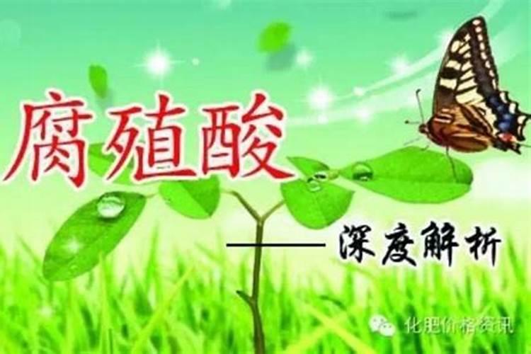 谁知道山东地区腐植酸(风化煤)价格？