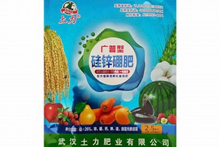 月季真宙,莫奈哪个好？