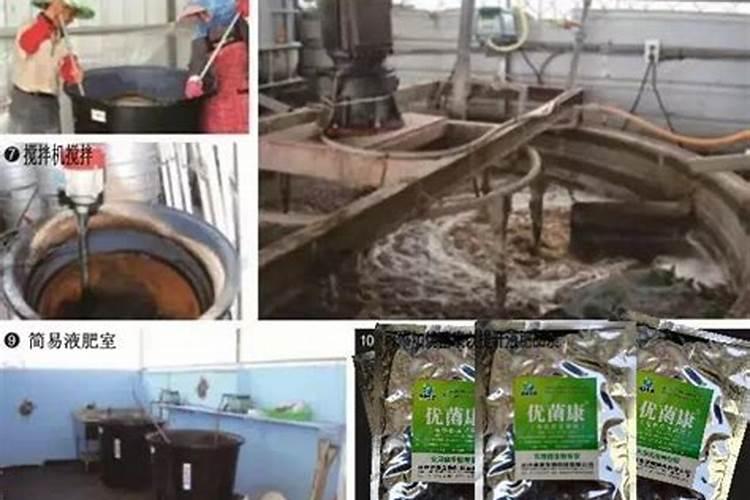 多木12号是什么肥料