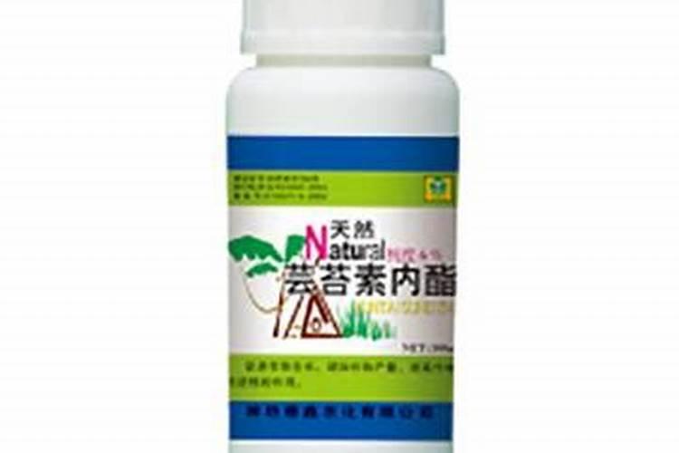 硕丰481芸苔素哪家的好