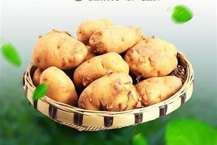 种洋芋用什么肥料好