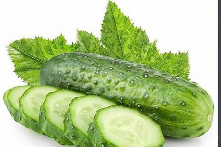种蔬菜什么时候才能施肥