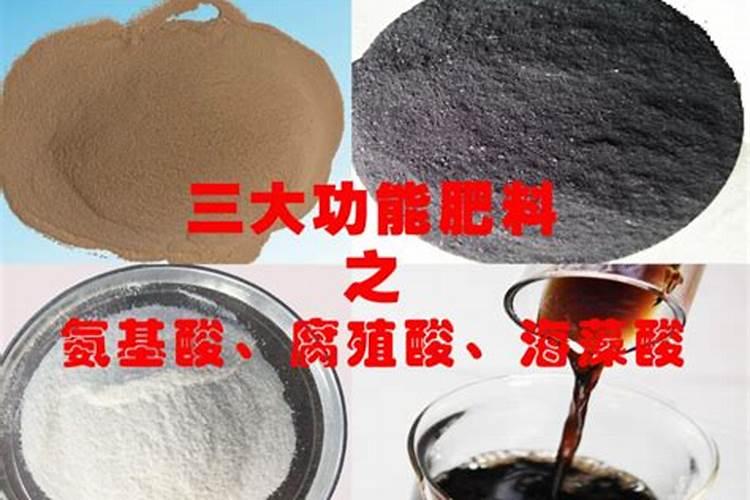 许昌最大的水果批发市场在哪