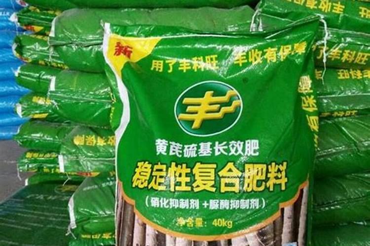榕树两种叶子(榕树两种叶子,区分与养护技巧解析)