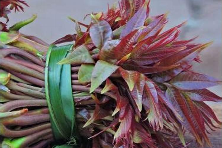 种的香瓜在开花时,怎样防止落花落果呢？
