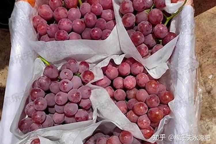 钾盐:钾肥:氯化钾