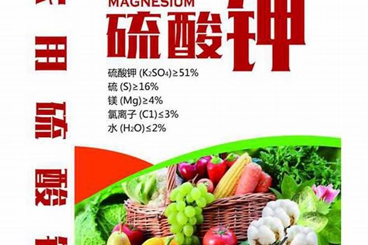 月季开花时能施肥吗月季开花时能不能施肥