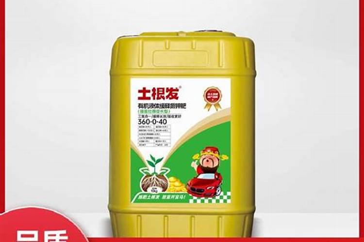 白萝卜的种植方法和时间