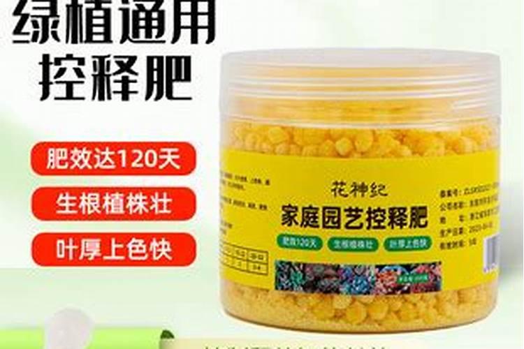 养花用什么肥料最好