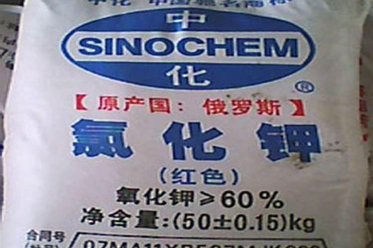硼肥使用方法与用量