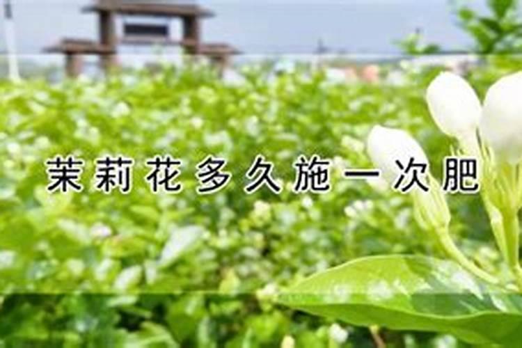 复合肥多久施一次