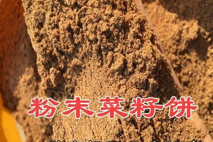 松树用什么肥料最好