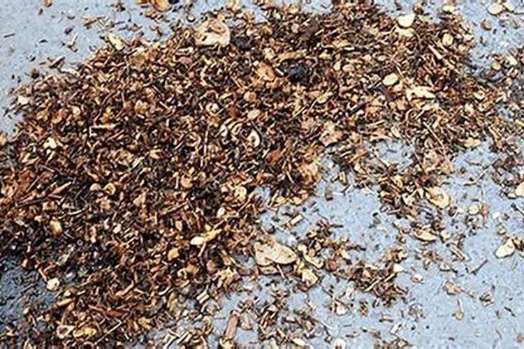番茄开花期间用什么样的叶面肥比较合适？