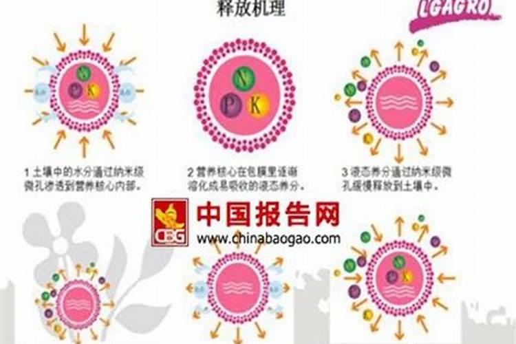 芋头用什么肥料