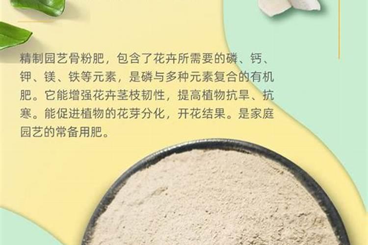 骨粉的正确施肥方法