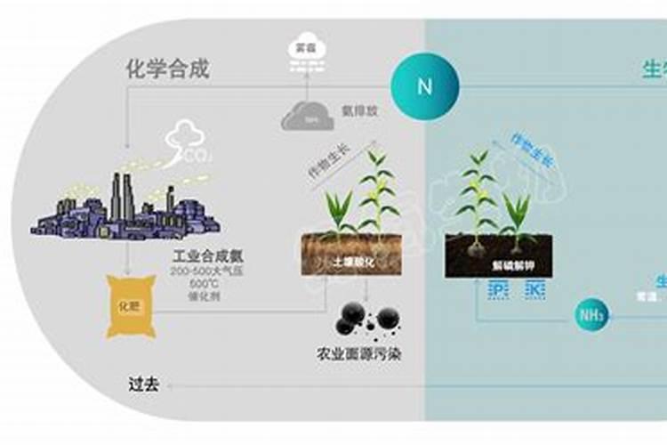 芸苔素内酯持效期多长