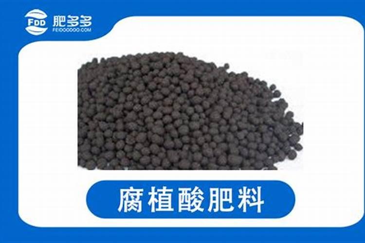 大棚番茄叶片发紫怎么回事？