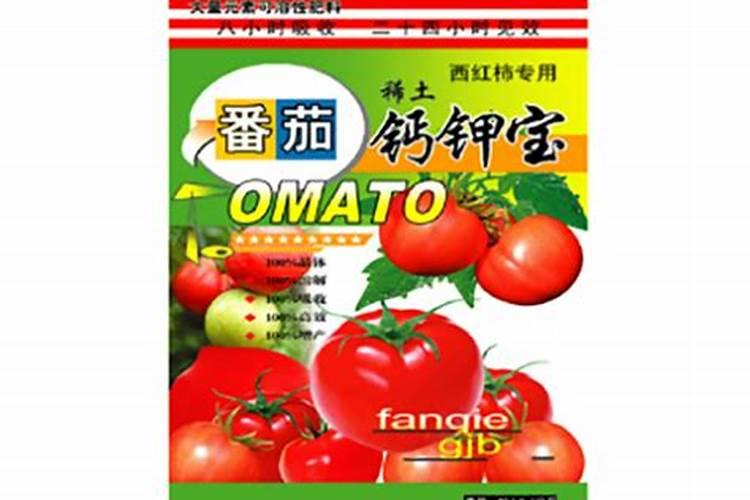 西红柿最好的肥料是什么？