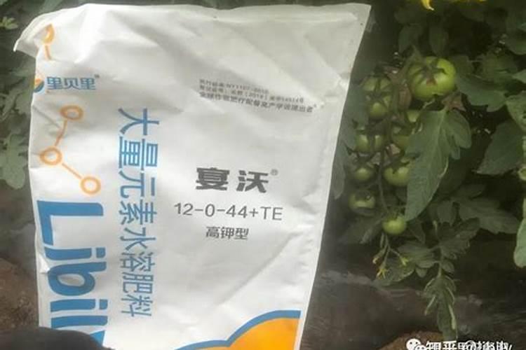 蔬菜叶面肥木醋液代理批发