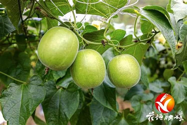 山西十大批发市场 山西各大批发市场有哪些 山西批发市场哪里较好