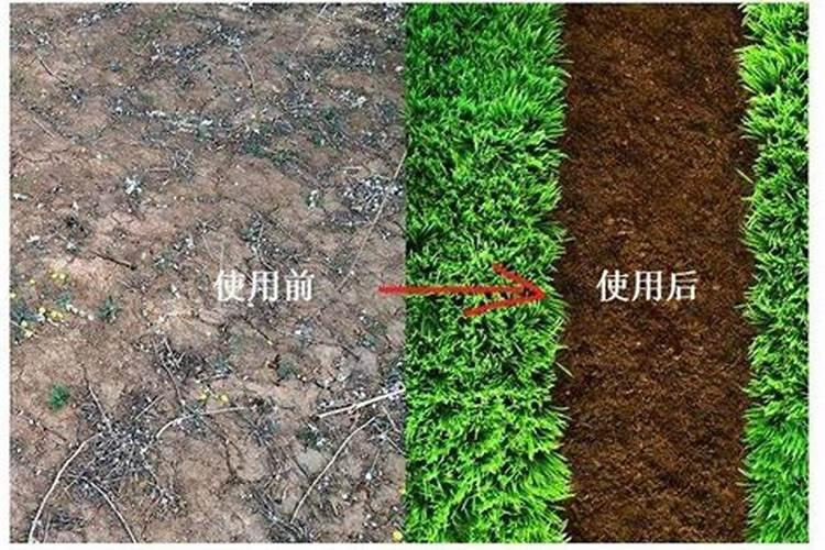 碱性土壤改良剂