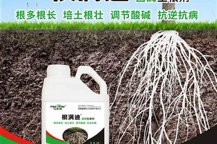 氨基酸水溶肥放4年还有效果？