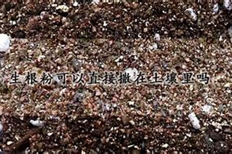 生根粉和肥料可以混在一起浇花吗