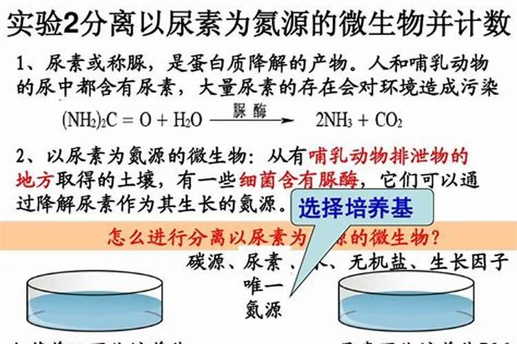 尿素和氮肥有什么区别