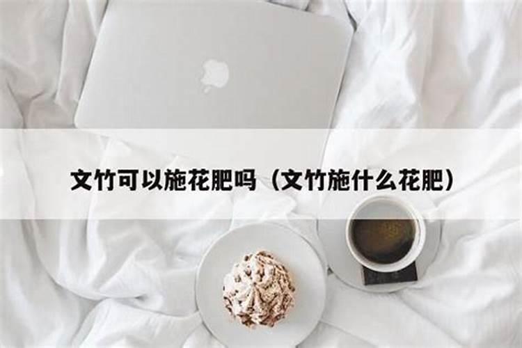 盆栽夏天能修剪吗(盆栽花卉夏天可以施肥吗)
