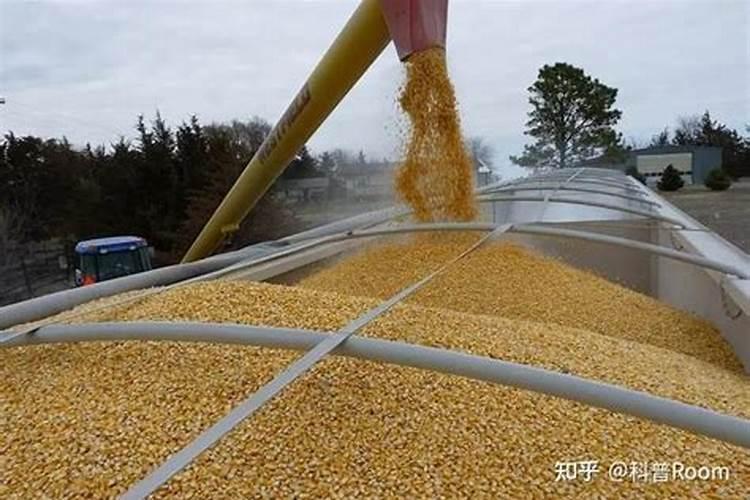 玉米用什么含量的肥料