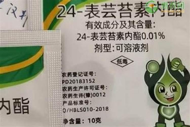 芸苔素内酯玉米可喷几次