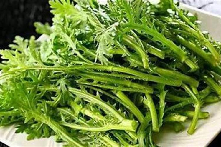 腐植酸肥料品种有哪些,腐植酸肥料的作用