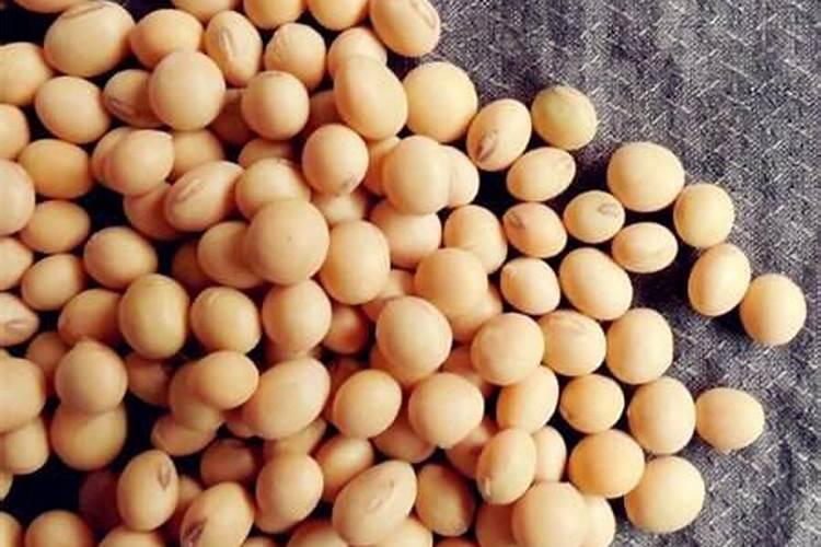种大豆一垧地多少氮肥多少磷肥多少钾肥