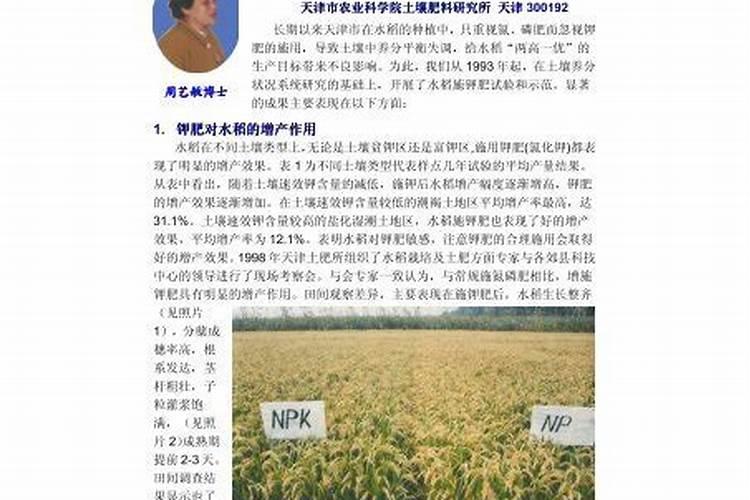 二刀韭菜喷什么叶面肥