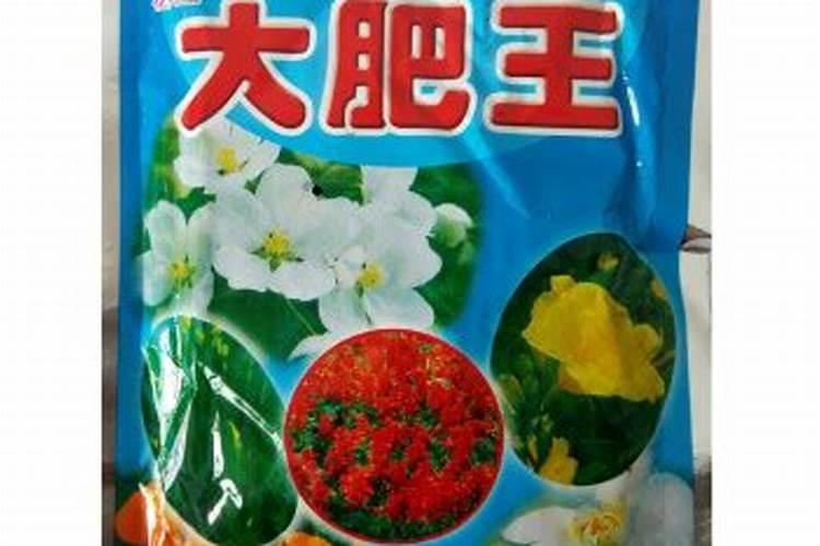 复合肥可以浇君子兰吗