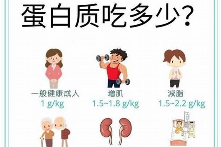 鱼喂蛋白多高好