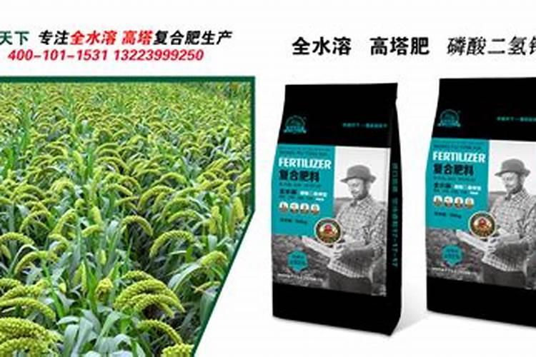 种谷子用什么肥料好