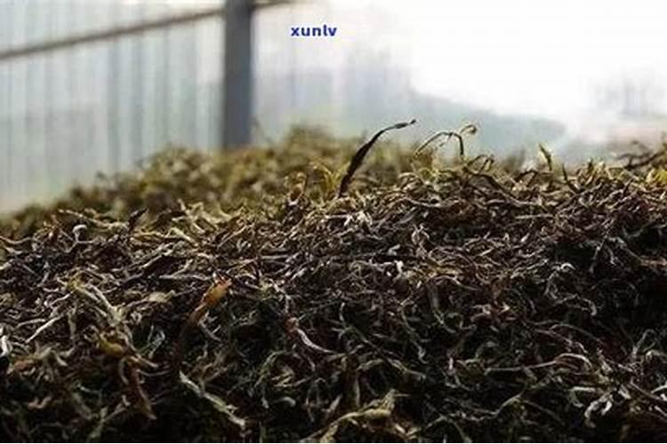 茶枯能做肥料吗？