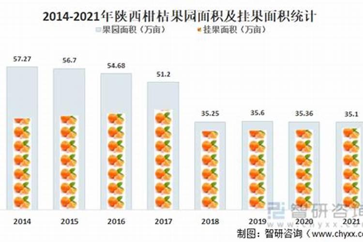 柑橘树专用肥料配方是什么？