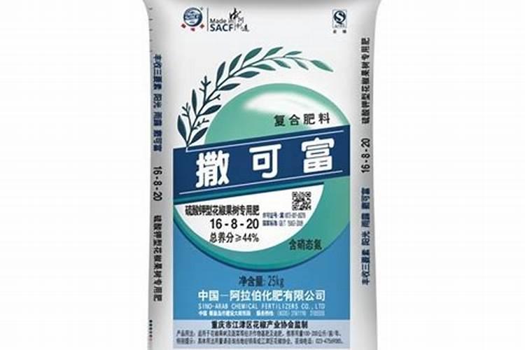 金桔使用什么肥料最好