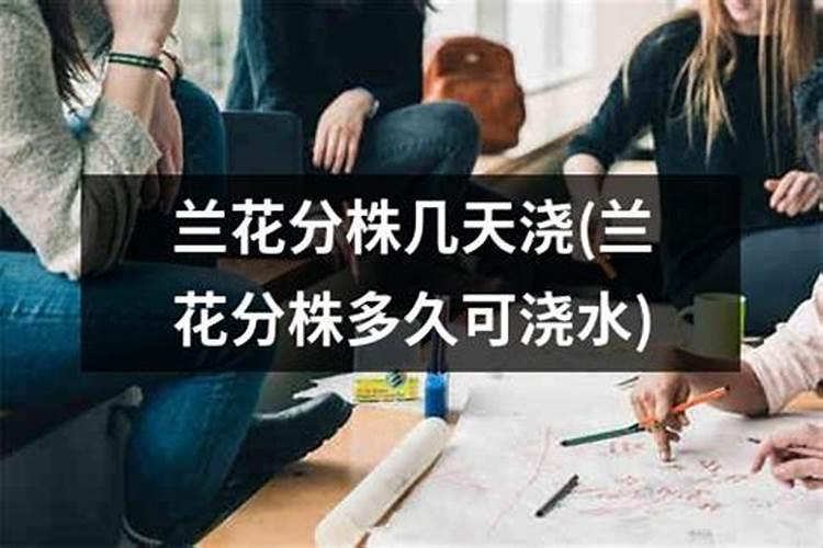 兰花怎么上肥料？