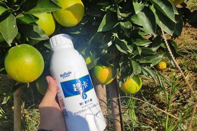 玉米用什么化肥好