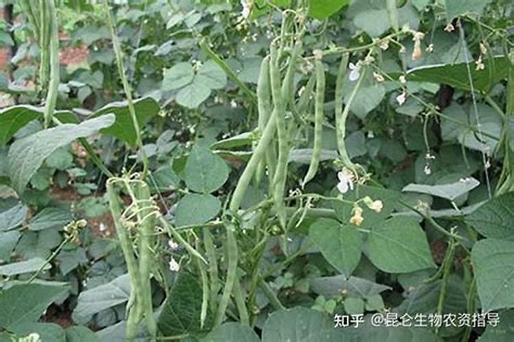 汾河水库生态特征