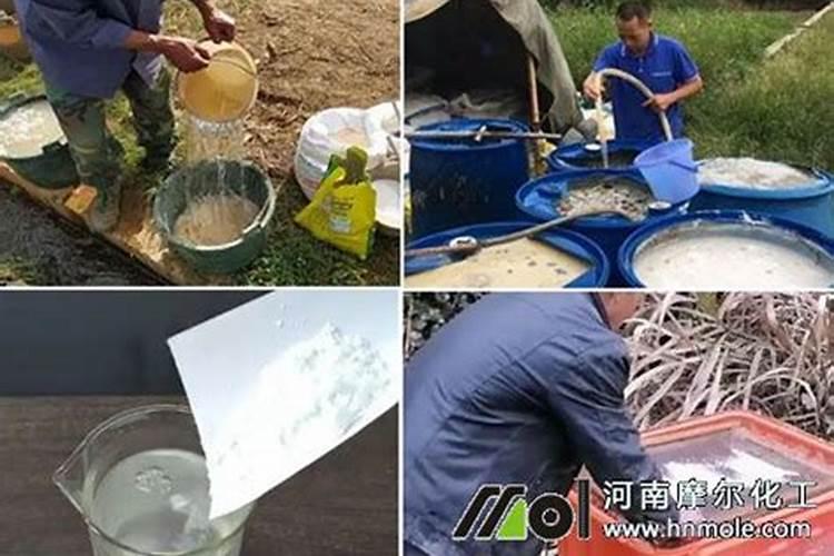 夏天玉米的追肥技巧