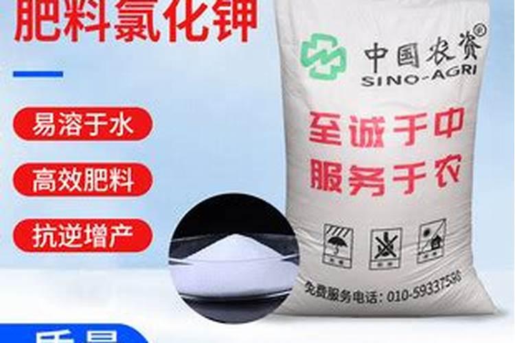 果树为什么不能用含氯的化肥,果树几天能吸收化肥