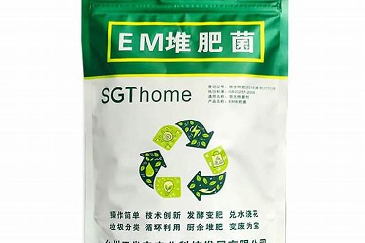 种枸杞的正确方法