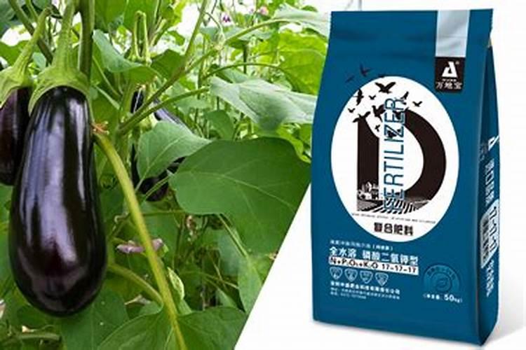 康朴春和康朴绿的区别