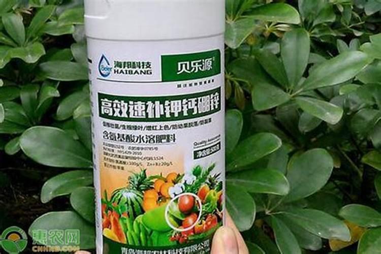 氨基酸叶面肥能控旺吗 氨基酸叶面肥如何控旺