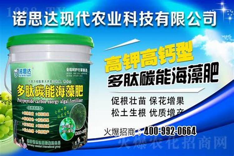 香瓜施什么肥料最好